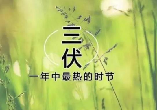 三伏天怎樣養生?三伏天是最熱的時候嗎 三伏天怎樣養生?三伏天是最熱的時候嗎