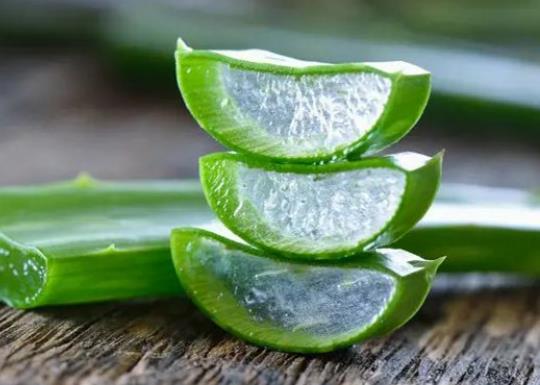 新鮮蘆薈擦臉為什么變黑?新鮮蘆薈可以直接擦臉嗎 新鮮蘆薈擦臉為什么變黑?新鮮蘆薈可以直接擦臉嗎