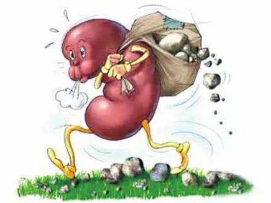 腎結石多囊腎怎么辦?多囊腎結石可以做穿刺嗎 腎結石多囊腎怎么辦?多囊腎結石可以做穿刺嗎