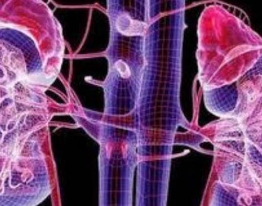多囊腎的病因是什么?多囊腎可以做試管嗎 多囊腎的病因是什么?多囊腎可以做試管嗎