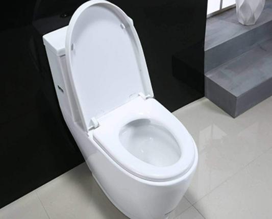 十大坐便器排行榜,TOTO坐便器很時尚、科勒坐便器讓你用得更安心 十大坐便器排行榜,TOTO坐便器很時尚、科勒坐便器讓你用得更安心