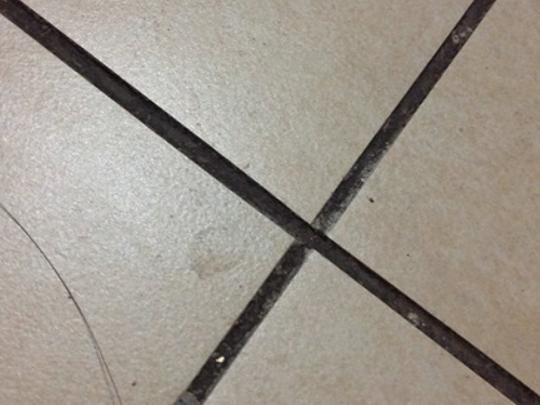 十大瓷磚勾縫劑品牌排行榜,百得瓷磚勾縫劑、德高瓷磚勾縫劑質感很好 十大瓷磚勾縫劑品牌排行榜,百得瓷磚勾縫劑、德高瓷磚勾縫劑質感很好