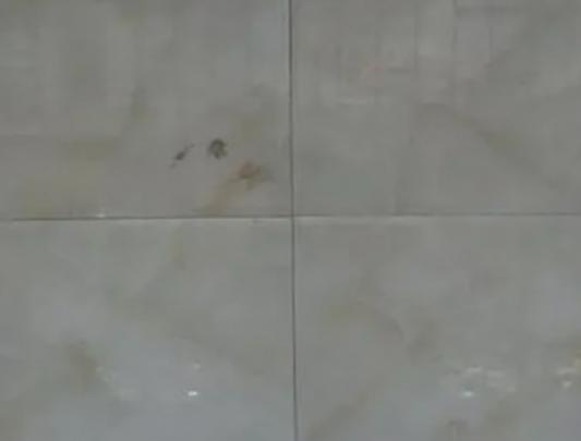 十大瓷磚勾縫劑品牌排行榜,百得瓷磚勾縫劑、德高瓷磚勾縫劑質感很好 十大瓷磚勾縫劑品牌排行榜,百得瓷磚勾縫劑、德高瓷磚勾縫劑質感很好