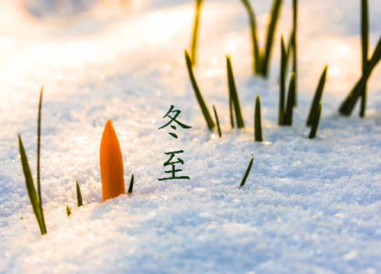 冬至一般是每年的幾月幾日?2024年冬至掃墓的吉日是哪幾天 冬至一般是每年的幾月幾日?2024年冬至掃墓的吉日是哪幾天