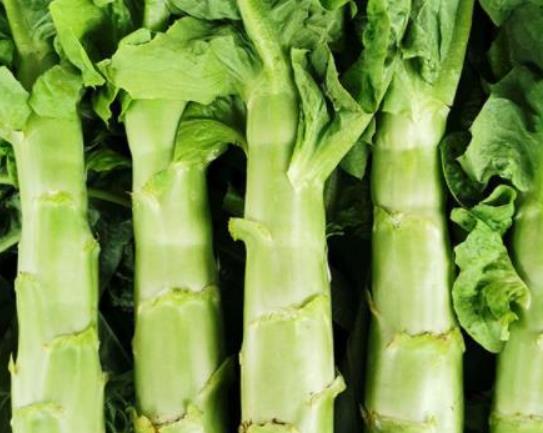 萵筍不能和什么同食?萵筍怎么做好吃? 萵筍不能和什么同食?萵筍怎么做好吃?