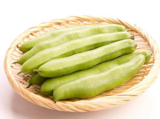 蠶豆殼能做肥料養(yǎng)花嗎?蠶豆做肥料要發(fā)酵多久