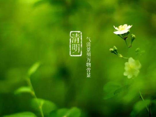 2022年北方清明節(jié)會下雪嗎?清明節(jié)可以去別人家做客嗎