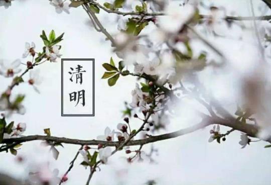 2022年清明節(jié)立碑是兒子立還是孫子立?清明節(jié)上墳貢品擺幾個