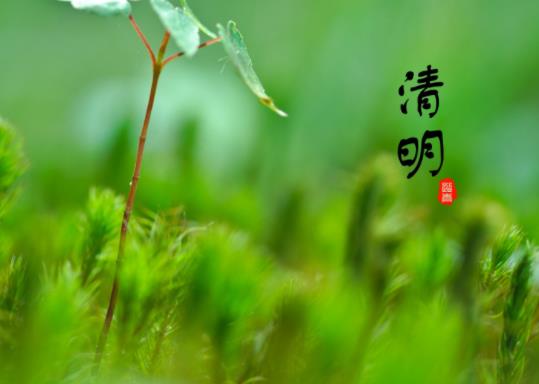 2022清明節(jié)去五臺(tái)山燒香好嗎?2022清明節(jié)五臺(tái)山開放嗎