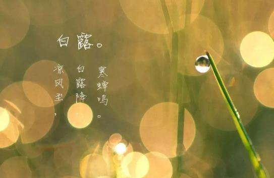 白露接秋分是幾月?2021白露過后天氣還潮濕嗎?
