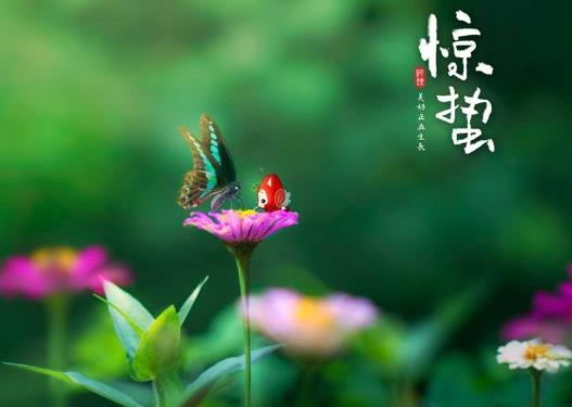 為什么驚蟄要脫帽子?驚蟄節(jié)氣要注意什么