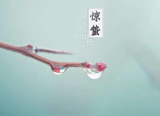 驚蟄刮北風(fēng)不好嗎?驚蟄哪三樣?xùn)|西要扔掉