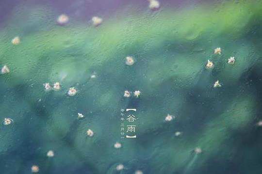 谷雨后下雨天氣會(huì)以后怎么樣?谷雨容易下雨嗎