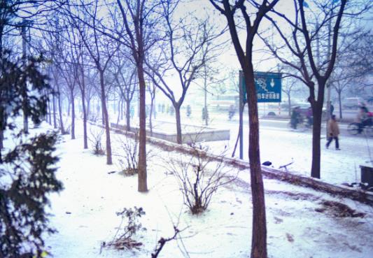 下雪天汽車用什么防滑鏈安全?下雪天汽車雨刮器為什么要豎起來?