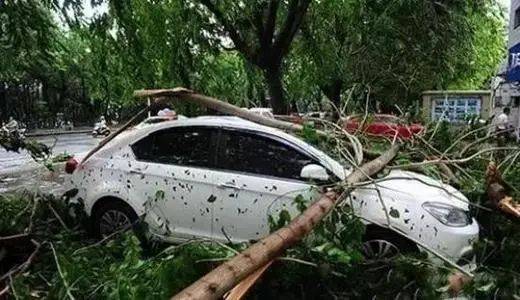 露天停車下冰雹怎么辦會把車砸壞嗎 汽車能承受多大的冰雹