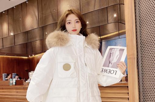 羽絨服填充物哪個最好?白鵝絨和白鴨絨哪個好