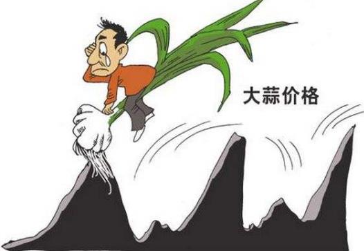 蒜你狠是什么意思?網絡用語蒜你狠的來源 大蒜漲價原因