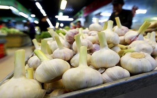 蒜你狠是什么意思?網絡用語蒜你狠的來源 大蒜漲價原因