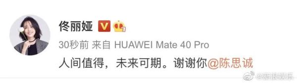 佟麗婭陳思誠520情人節宣布離婚 佟麗婭和陳思誠的婚姻愛情經歷